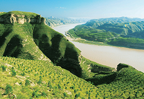 張建龍：&ldquo;三北工程&rdquo;實現生態、經濟、社會效益&ldquo;多贏&rdquo;