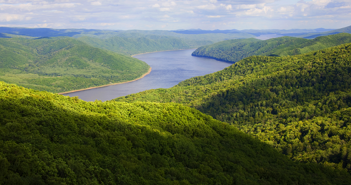 張建龍：&ldquo;三北工程&rdquo;實現生態、經濟、社會效益&ldquo;多贏&rdquo;