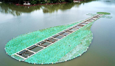 鳥瞰福州西湖 萬株鳶尾宛如一把&ldquo;翡翠琵琶&rdquo;