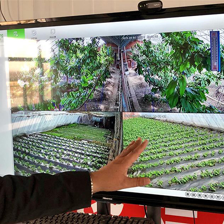 &ldquo;互聯網+&rdquo;讓村里人過上&ldquo;智慧生活&rdquo;