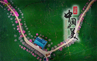 江山如畫，想把春的故事講給你聽