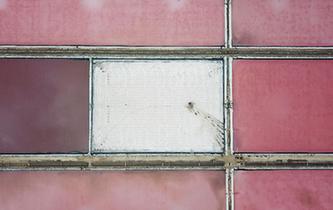 江蘇連云港：淮鹽豐收&ldquo;秋扒&rdquo;忙