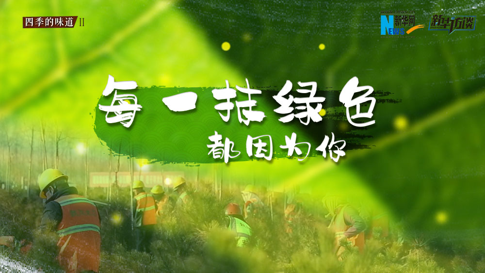 千年秀林，每一抹綠色都因為你