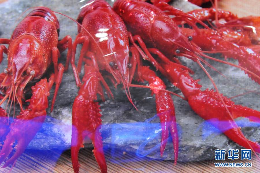 螺螄殼里做道場，小龍蝦吃出大產業