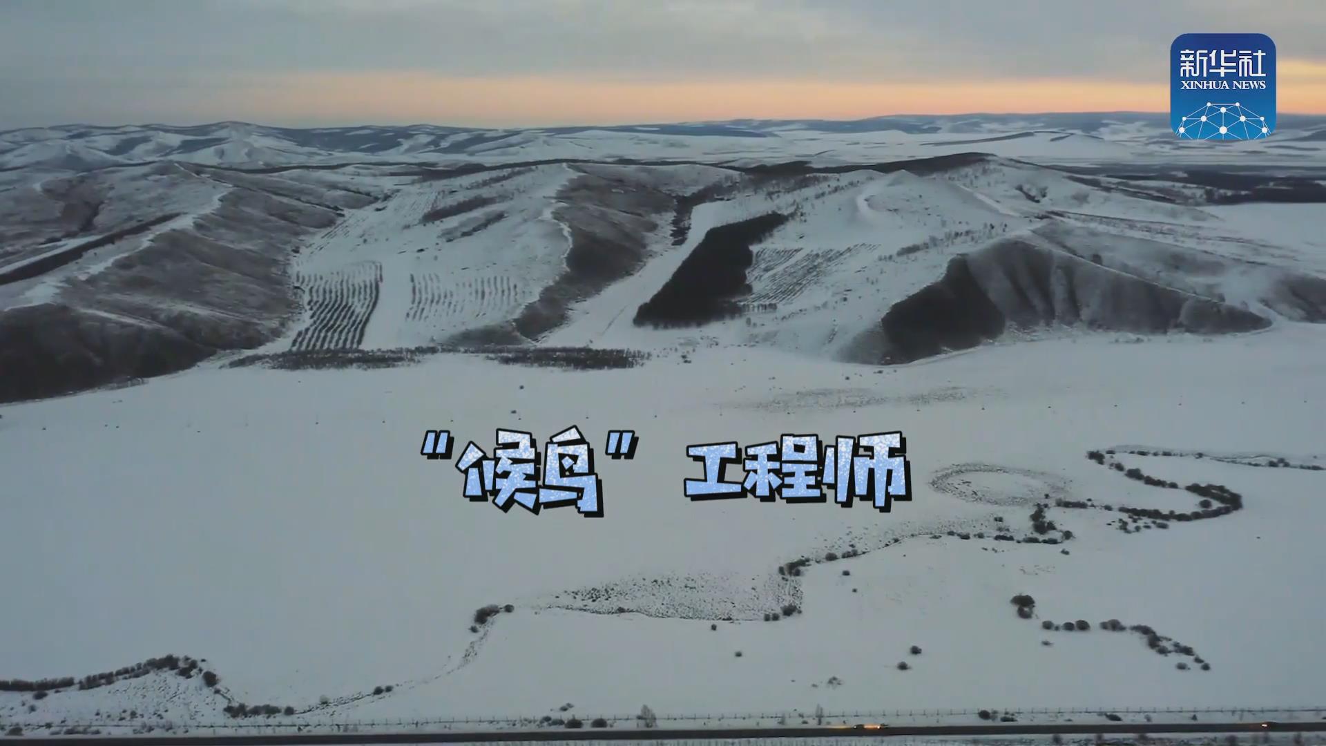 我們在奔跑丨一路向北！他是逆行的&ldquo;候鳥&rdquo;