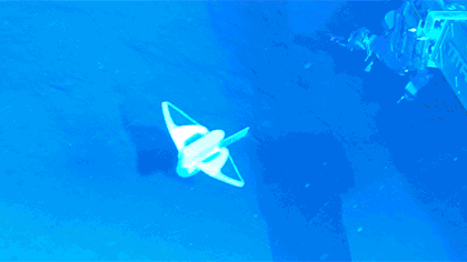 中國國產軟件機器魚&ldquo;打卡&rdquo;萬米深海溝
