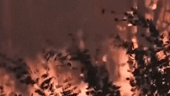 俄羅斯：西伯利亞林火肆虐&mdash;&mdash;&ldquo;冰城&rdquo;空氣污染嚴重 大部分航班延誤