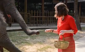 勐巴拉娜西！&ldquo;洋記者&rdquo;帶你游西雙版納