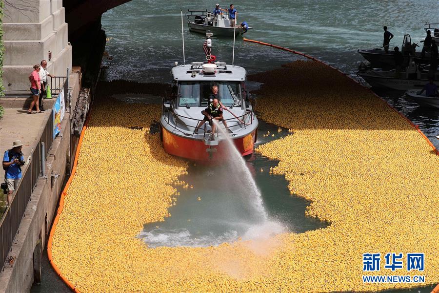 （國際&middot;一周看天下）小黃鴨競(jìng)速 