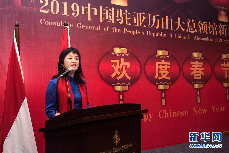 （XHDW&middot;圖文互動）（3）五湖迎亥歲　四海賀新春&mdash;&mdash;我駐外使領館舉辦新春招待會喜迎農歷新年