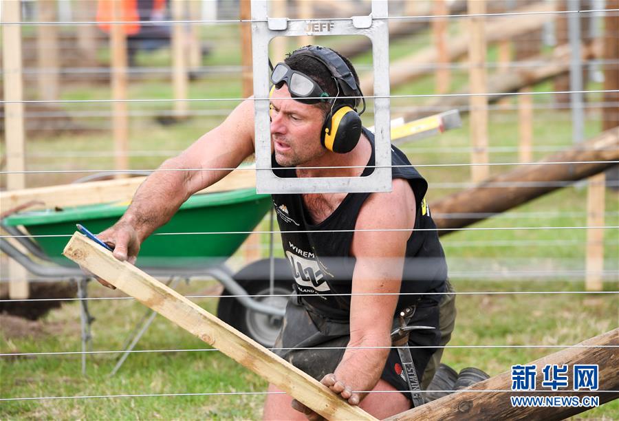 （國(guó)際&middot;一周看天下）比賽