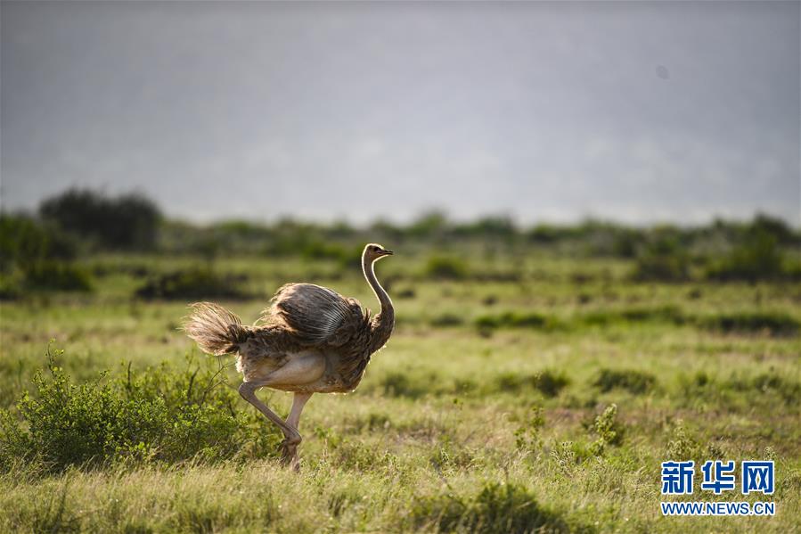 （國際&middot;一周看天下）奔跑