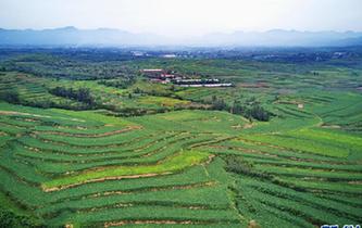 河北盧龍：&ldquo;坡改梯&rdquo;讓貧地變沃土