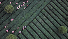 &ldquo;三言?xún)烧Z(yǔ)&rdquo;背后的貴州之變